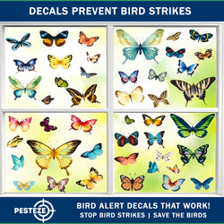 PESTEZE® Colorful Butterflies Anti Strike Static Cling Decals for Windows to Prevent Wild Bird Collisions [58 Decals/9 Pages] Bird Alert Window Decals Save Birds from Window Strikes & Help them Soar