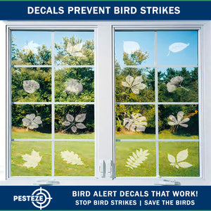 PESTEZE® UV Reflective Leaf Medley Anti Strike Static Cling Decals for Windows to Prevent Wild Bird Collisions [26 Decals/4 Pages] Bird Alert Window Decals Save Birds from Window Strikes & Help them Soar