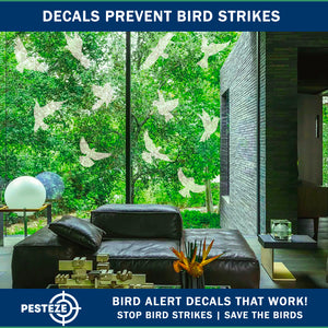 PESTEZE® Rainbow Leaf & Bird Anti Collision Static Cling Decals for Windows to Prevent Wild Bird Strikes [32 Decals/2 Pages] Bird Alert Window Decals Save Birds from Window Collisions & Help them Soar
