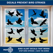 PESTEZE® USA Premium Black Hummingbirds Anti-Strike Window Decal — 37 Static Clings (9 Pages) to Prevent Wild Bird Collisions and Reduce Strike Risk, Prevents Window Damage and Protects Birds from Harm