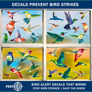 PESTEZE® USA Premium Window Bird Decals–Colorful Hummingbird Anti Collision Static Cling Stickers for Windows to Prevent Wild Birds from Strikes and Hitting Glass–38 Pack Floral Window Alert Protection