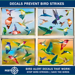 PESTEZE® Colorful Hummingbirds Anti Collision Static Cling Decals for Windows to Prevent Wild Bird Strikes [38 Decals/9 Pages] Bird Alert Window Decals Save Birds from Window Collisions & Help them Soar