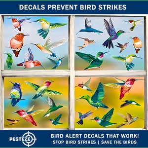 PESTEZE® Colorful Hummingbirds Anti Collision Static Cling Decals for Windows to Prevent Wild Bird Strikes [38 Decals/9 Pages] Bird Alert Window Decals Save Birds from Window Collisions & Help them Soar