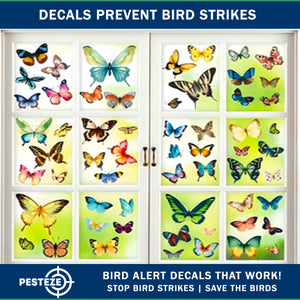 PESTEZE® Colorful Butterflies Anti Strike Static Cling Decals for Windows to Prevent Wild Bird Collisions [58 Decals/9 Pages] Bird Alert Window Decals Save Birds from Window Strikes & Help them Soar