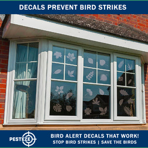 PESTEZE® UV Reflective Leaf Medley Anti Strike Static Cling Decals for Windows to Prevent Wild Bird Collisions [26 Decals/4 Pages] Bird Alert Window Decals Save Birds from Window Strikes & Help them Soar
