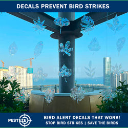 PESTEZE® Rainbow Leaf & Bird Anti Collision Static Cling Decals for Windows to Prevent Wild Bird Strikes [32 Decals/2 Pages] Bird Alert Window Decals Save Birds from Window Collisions & Help them Soar