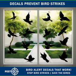 PESTEZE® Black Hummingbirds Anti Strike Static Cling Decals for Windows to Prevent Wild Bird Collisions [37 Decals/9 Pages] Bird Alert Window Decals Save Birds from Window Strikes & Help them Soar
