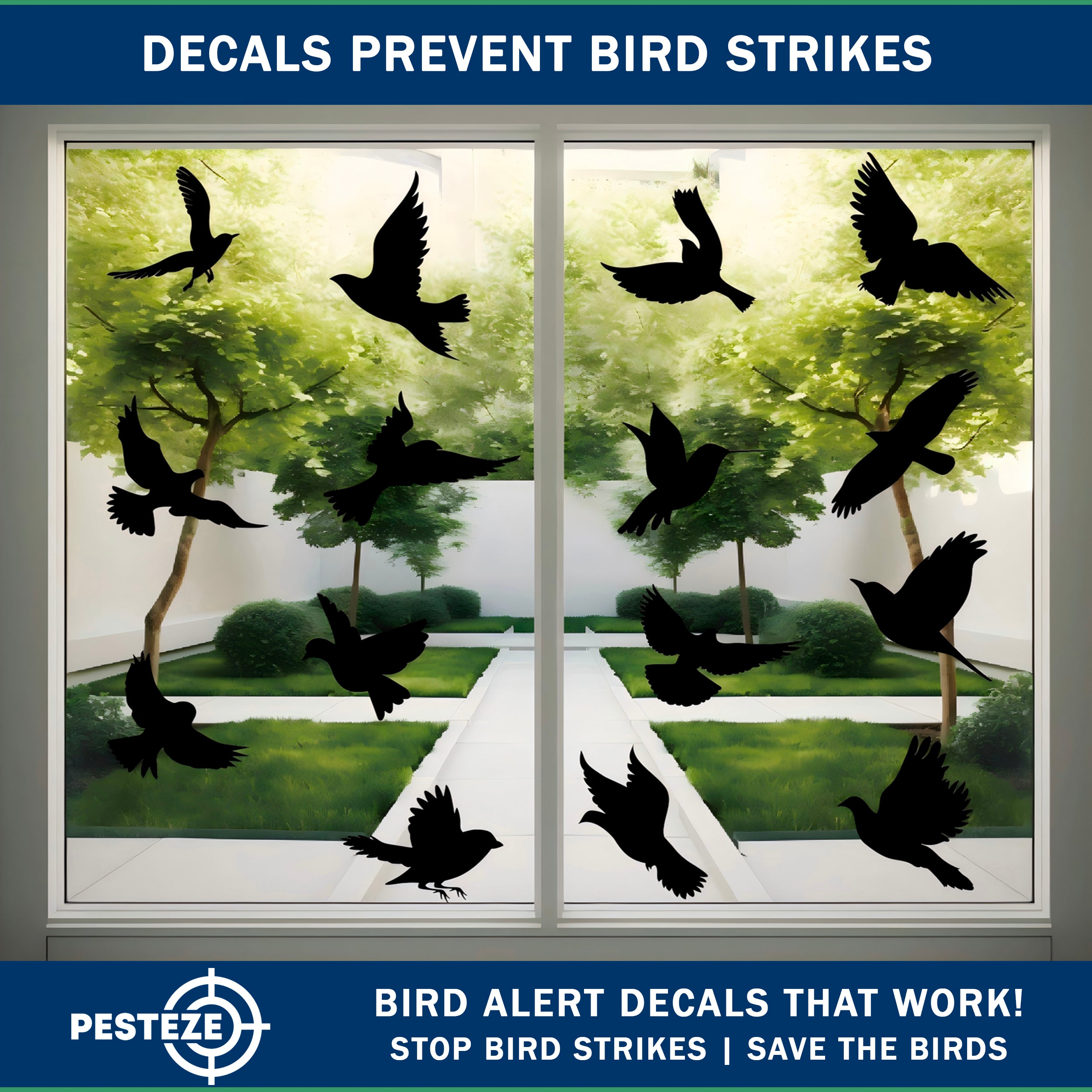 PESTEZE® Black Hummingbirds Anti Strike Static Cling Decals for Windows to Prevent Wild Bird Collisions [37 Decals/9 Pages] Bird Alert Window Decals Save Birds from Window Strikes & Help them Soar