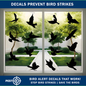 PESTEZE® Black Hummingbirds Anti Strike Static Cling Decals for Windows to Prevent Wild Bird Collisions [37 Decals/9 Pages] Bird Alert Window Decals Save Birds from Window Strikes & Help them Soar