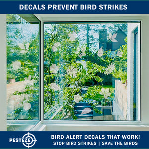PESTEZE® UV Reflective Leaf Medley Anti Strike Static Cling Decals for Windows to Prevent Wild Bird Collisions [26 Decals/4 Pages] Bird Alert Window Decals Save Birds from Window Strikes & Help them Soar