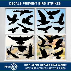 PESTEZE® Black Hummingbirds Anti Strike Static Cling Decals for Windows to Prevent Wild Bird Collisions [37 Decals/9 Pages] Bird Alert Window Decals Save Birds from Window Strikes & Help them Soar