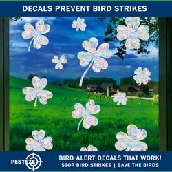 PESTEZE® Rainbow Leaf Medley Anti Strike Static Cling Decals for Windows to Prevent Wild Bird Collisions [19 Decals/3 Pages] Bird Alert Window Decals Save Birds from Window Strikes & Help them Soar