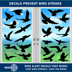 PESTEZE® Black Hummingbirds Anti Strike Static Cling Decals for Windows to Prevent Wild Bird Collisions [37 Decals/9 Pages] Bird Alert Window Decals Save Birds from Window Strikes & Help them Soar