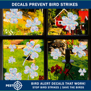 PESTEZE® USA Premium Window Bird Decals-Rainbow Leaf & Bird Anti Collision Static Cling Stickers for Windows to Prevent Wild Birds from Striking & Hitting Glass–32 Pack Sun Catcher Window Alert Clings