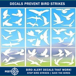 PESTEZE® White Hummingbirds Anti Collision Static Cling Decals for Windows to Prevent Wild Bird Strikes [37 Decals/9 Pages] Bird Alert Window Decals Save Birds from Window Strikes & Help them Soar