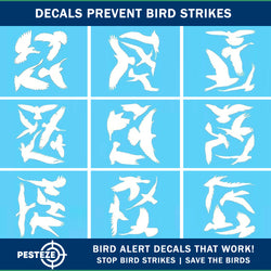 PESTEZE® White Hummingbirds Anti Collision Static Cling Decals for Windows to Prevent Wild Bird Strikes [37 Decals/9 Pages] Bird Alert Window Decals Save Birds from Window Strikes & Help them Soar