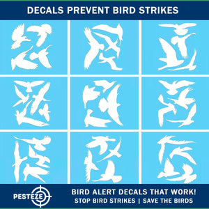 PESTEZE® White Hummingbirds Anti Collision Static Cling Decals for Windows to Prevent Wild Bird Strikes [37 Decals/9 Pages] Bird Alert Window Decals Save Birds from Window Strikes & Help them Soar