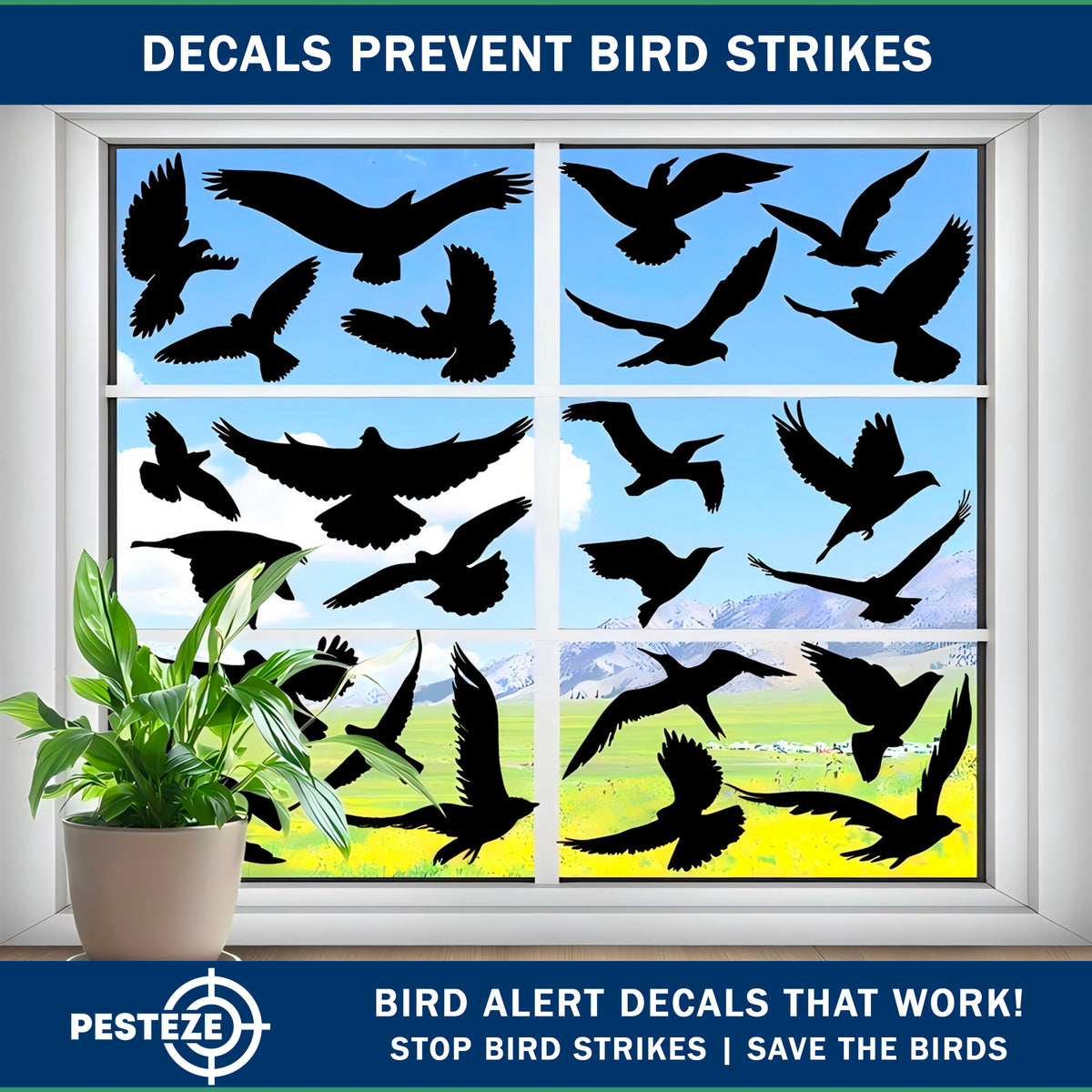 PESTEZE® USA Premium Black Hummingbirds Anti-Strike Window Decal — 37 Static Clings (9 Pages) to Prevent Wild Bird Collisions and Reduce Strike Risk, Prevents Window Damage and Protects Birds from Harm