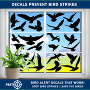 PESTEZE® USA Premium Black Hummingbirds Anti-Strike Window Decal — 37 Static Clings (9 Pages) to Prevent Wild Bird Collisions and Reduce Strike Risk, Prevents Window Damage and Protects Birds from Harm