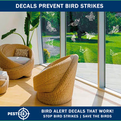 PESTEZE® Rainbow Butterfly Anti Strike Static Cling Decals for Windows to Prevent Wild Bird Collisions [16 Decals/2 Pages] Bird Alert Window Decals Save Birds from Window Strikes & Help them Soar