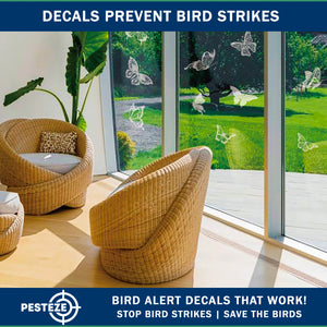 PESTEZE® Rainbow Butterfly Anti Strike Static Cling Decals for Windows to Prevent Wild Bird Collisions [16 Decals/2 Pages] Bird Alert Window Decals Save Birds from Window Strikes & Help them Soar