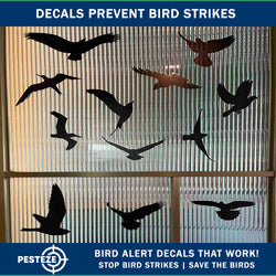 PESTEZE® Black Hummingbirds Anti Strike Static Cling Decals for Windows to Prevent Wild Bird Collisions [37 Decals/9 Pages] Bird Alert Window Decals Save Birds from Window Strikes & Help them Soar