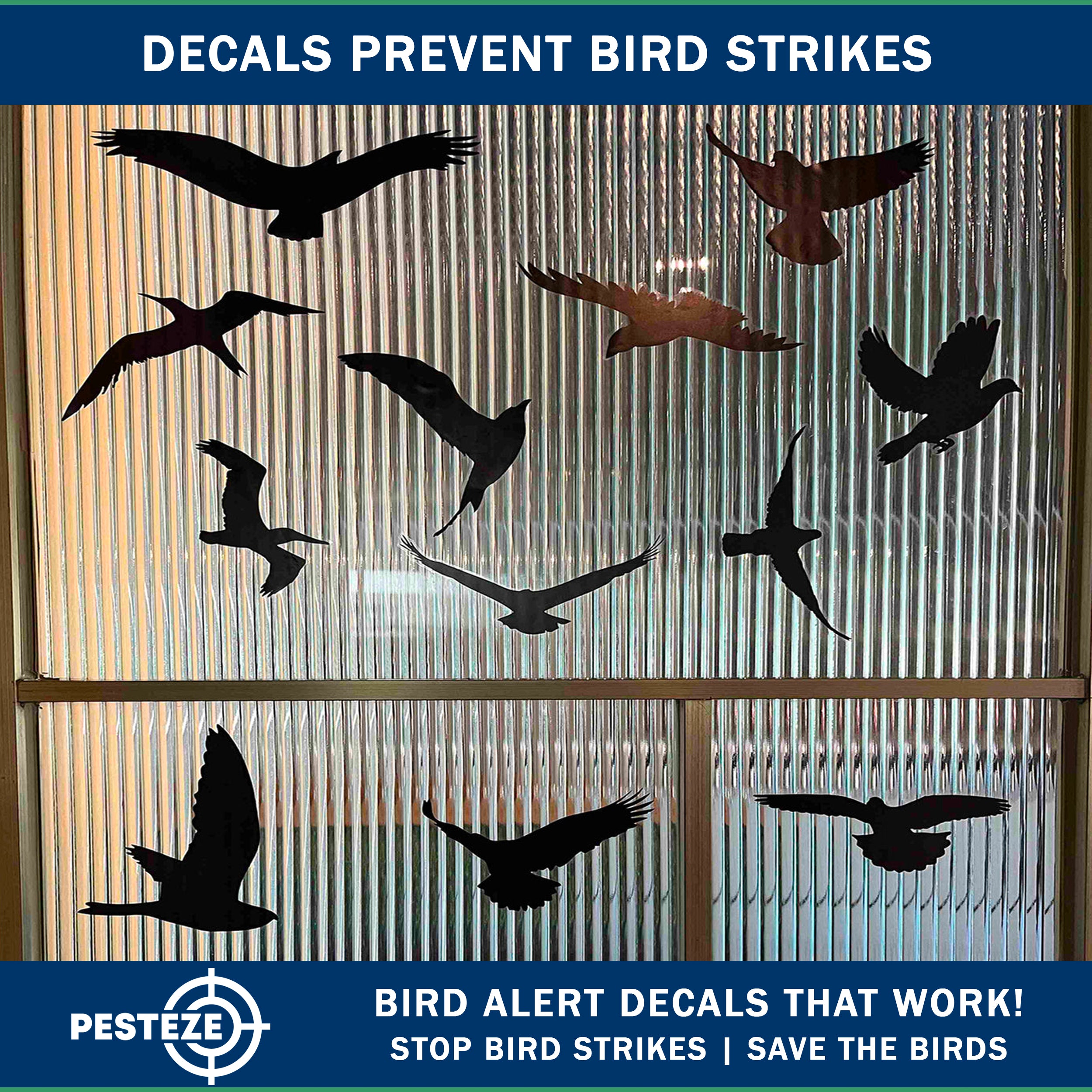 PESTEZE® Black Hummingbirds Anti Strike Static Cling Decals for Windows to Prevent Wild Bird Collisions [37 Decals/9 Pages] Bird Alert Window Decals Save Birds from Window Strikes & Help them Soar