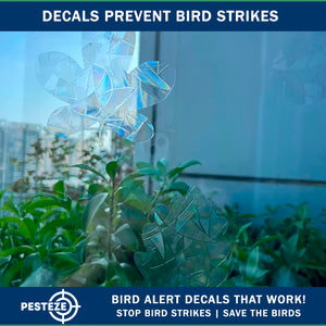 PESTEZE® Rainbow Leaf Medley Anti Strike Static Cling Decals for Windows to Prevent Wild Bird Collisions [19 Decals/3 Pages] Bird Alert Window Decals Save Birds from Window Strikes & Help them Soar
