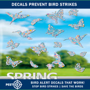 PESTEZE® USA Premium Window Bird Decals-Rainbow Leaf & Bird Anti Collision Static Cling Stickers for Windows to Prevent Wild Birds from Striking & Hitting Glass–32 Pack Sun Catcher Window Alert Clings