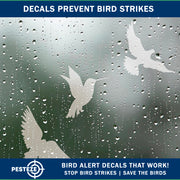PESTEZE® USA UV Reflective Window Bird Decals–Anti Collision Static Cling Stickers for Windows to Prevent Birds from Hitting Glass–Removable, 16 Pack Window Alert Clings – Humane Bird Strike Prevention