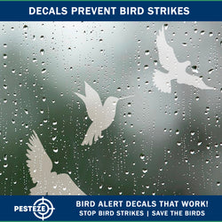 PESTEZE® UV Reflective Bird Anti Collision Static Cling Decals for Windows to Prevent Wild Bird Strikes [16 Decals/4 Pages] Bird Alert Window Decals Save Birds from Window Collisions & Help them Soar