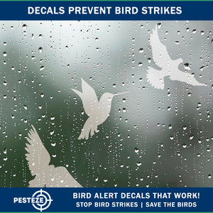 PESTEZE® UV Reflective Bird Anti Collision Static Cling Decals for Windows to Prevent Wild Bird Strikes [16 Decals/4 Pages] Bird Alert Window Decals Save Birds from Window Collisions & Help them Soar