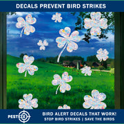 PESTEZE® USA Premium Window Bird Decals-Rainbow Leaf & Bird Anti Collision Static Cling Stickers for Windows to Prevent Wild Birds from Striking & Hitting Glass–32 Pack Sun Catcher Window Alert Clings