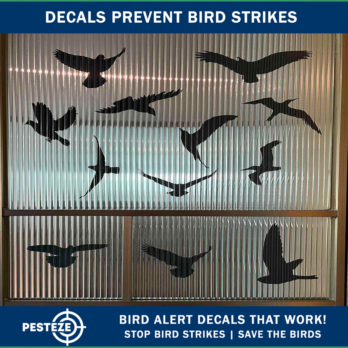 PESTEZE® USA Premium Black Hummingbirds Anti-Strike Window Decal — 37 Static Clings (9 Pages) to Prevent Wild Bird Collisions and Reduce Strike Risk, Prevents Window Damage and Protects Birds from Harm