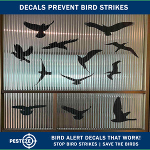 PESTEZE® Black Hummingbirds Anti Strike Static Cling Decals for Windows to Prevent Wild Bird Collisions [37 Decals/9 Pages] Bird Alert Window Decals Save Birds from Window Strikes & Help them Soar