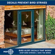 PESTEZE® USA UV Reflective Window Bird Decals–Anti Collision Static Cling Stickers for Windows to Prevent Birds from Hitting Glass–Removable, 16 Pack Window Alert Clings – Humane Bird Strike Prevention