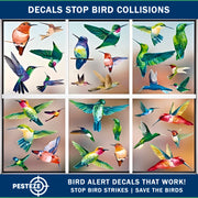 PESTEZE® USA Premium Window Bird Decals–Colorful Hummingbird Anti Collision Static Cling Stickers for Windows to Prevent Wild Birds from Strikes and Hitting Glass–38 Pack Floral Window Alert Protection