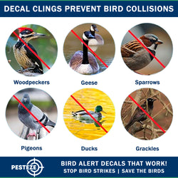 PESTEZE® Rainbow Leaf Medley Anti Strike Static Cling Decals for Windows to Prevent Wild Bird Collisions [19 Decals/3 Pages] Bird Alert Window Decals Save Birds from Window Strikes & Help them Soar