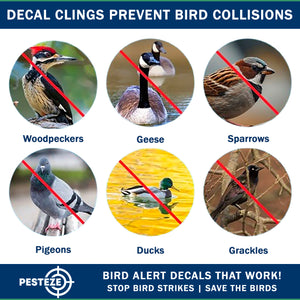 PESTEZE® Black Hummingbirds Anti Strike Static Cling Decals for Windows to Prevent Wild Bird Collisions [37 Decals/9 Pages] Bird Alert Window Decals Save Birds from Window Strikes & Help them Soar