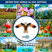 PESTEZE® USA Brown Eagle Bird Deterrent Kite with 13 ft Flagpole - Use in Yards & Farms to Protect Vegetables, Fruits, Crops & Property from Pest Birds