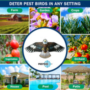 PESTEZE® USA Flying Hawk Bird Deterrent Kite, 13 ft Pole– Realistic 54x30 Inch Hawk Decoy Scare Device for Gardens, Yards, Boats & Farms– Repels Pest Birds like Crows, Pigeons, Seagulls, Geese Humanely