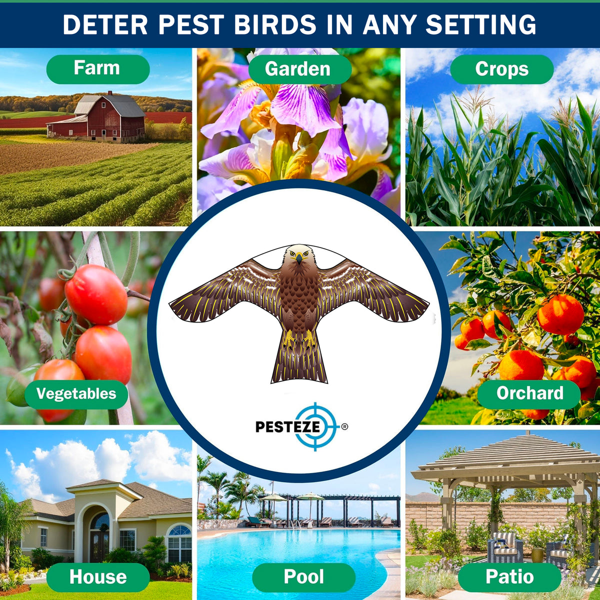 PESTEZE® USA Hawk Kite [47x27 Inch Kite with 13 Ft Flagpole] Provides Humane Bird Deterrence in Yards & Farms. Protects Vegetables, Fruits & Crops from Pest Birds & Critters