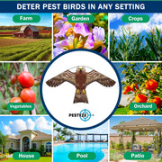 PESTEZE® USA Hawk Kite [47x27 Inch Kite with 13 Ft Flagpole] Provides Humane Bird Deterrence in Yards & Farms. Protects Vegetables, Fruits & Crops from Pest Birds & Critters
