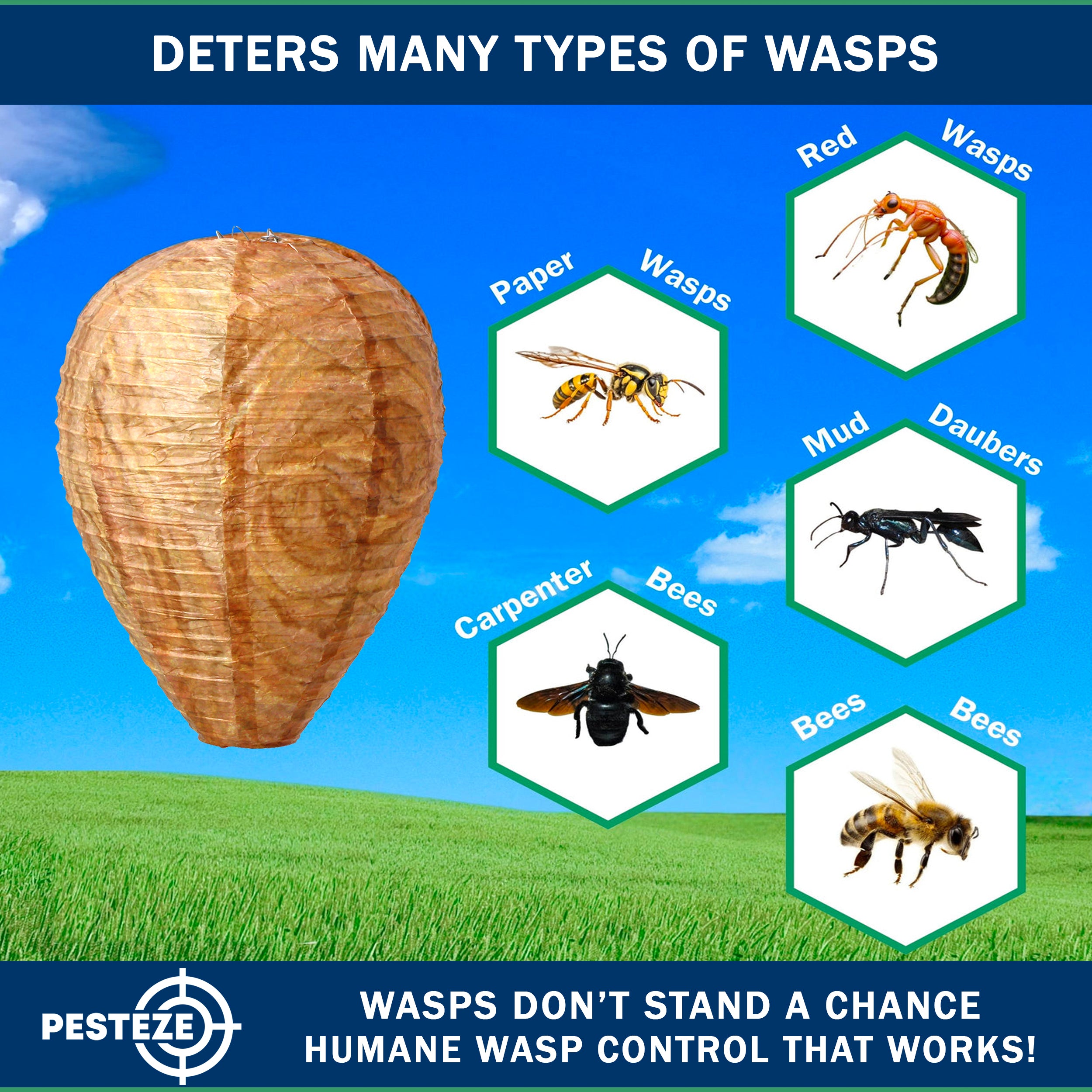 PESTEZE® USA Brown Waterproof Hanging Wasp Decoy Nest [2 Pack] Deters Several Wasp, Hornet & Yellow Jacket Species by Simulating Enemy Hives.