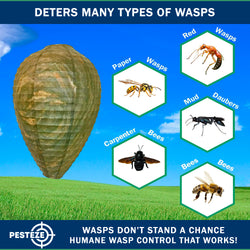 PESTEZE® USA Green Camo Paper Hanging Wasp Decoy Nest [11.8 x 8.6 Inch] Deters Several Wasp, Hornet & Yellow Jacket Species without Harsh Chemicals by Simulating Enemy Hives.