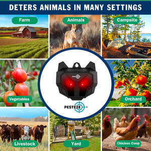 2 Pack PESTEZE® Reusable Solar Nocturnal Animal Repeller. Flickering Red Light Deters Unwanted Animals like Skunk, Deer, Coyote, Fox, Wolf, Rabbit, Raccoon & Birds to Protect Property & Livestock
