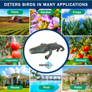 PESTEZE® 49 Inch Realistic Inflatable Alligator [1 Pack] Scares Pest Birds like Woodpeckers, Sparrows, Pigeons, Crows, Gulls & Critters from Pools & Yards without Harming them to Protect Property