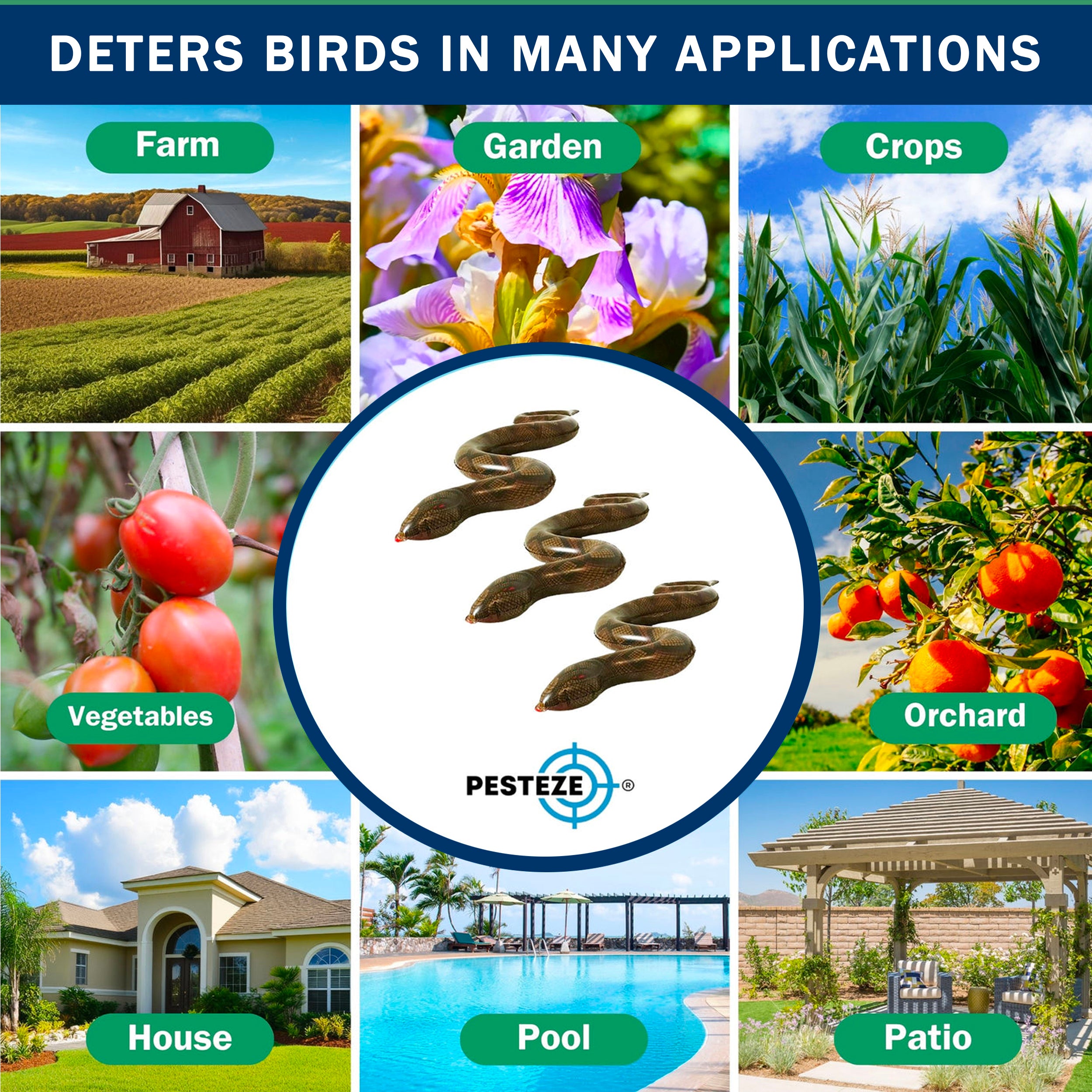 PESTEZE® Brown 39 Inch Realistic Inflatable Snakes [3 Pack] Repels Pest Birds like Woodpeckers, Sparrows, Pigeons, Crows, Gulls & Critters from Pools & Yards without Harming them to Protect Property