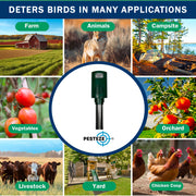 PESTEZE® Battery Bird Sound Repeller. Detects & Deters Pest Birds with Predator Sounds without Harming them to Protect Property. Use to Repel Woodpeckers, Pigeons, Crows, Ducks, Geese & Critters - Pesteze