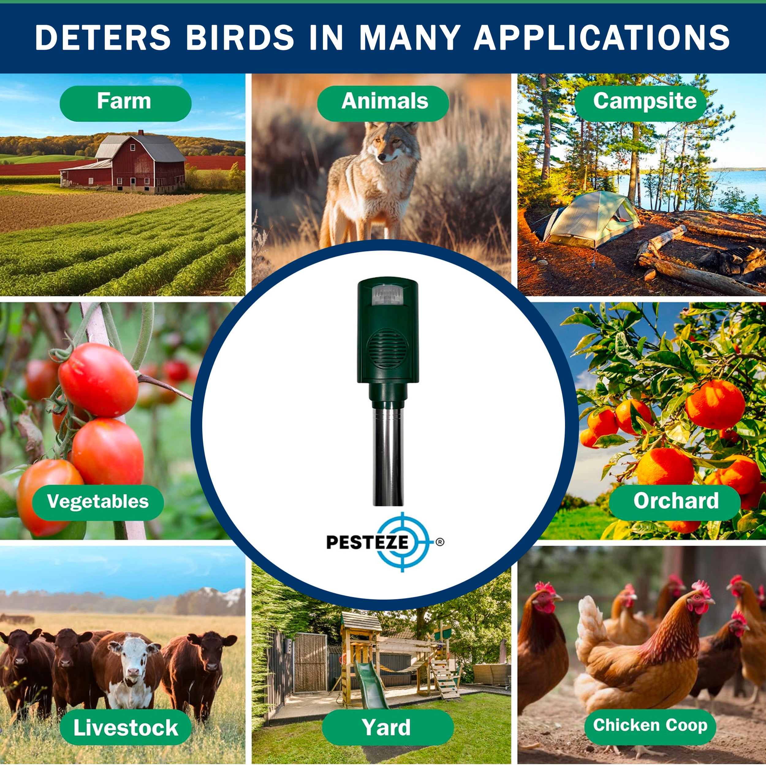 PESTEZE® Battery Bird Sound Repeller. Detects & Deters Pest Birds with Predator Sounds without Harming them to Protect Property. Use to Repel Woodpeckers, Pigeons, Crows, Ducks, Geese & Critters - Pesteze